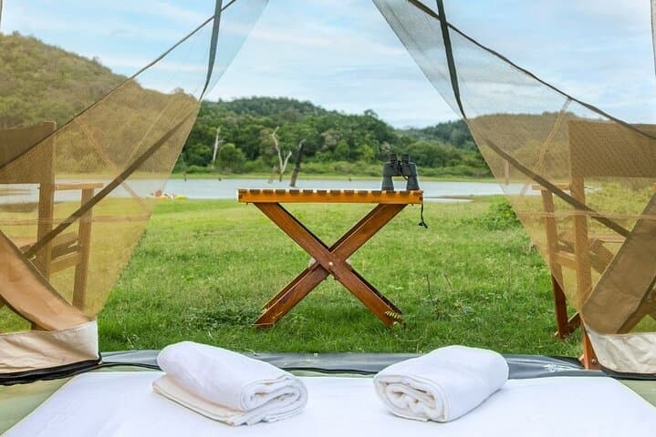 Fly-Camping Under the Milky Way: Private Safari Camping in Buttala photo 4