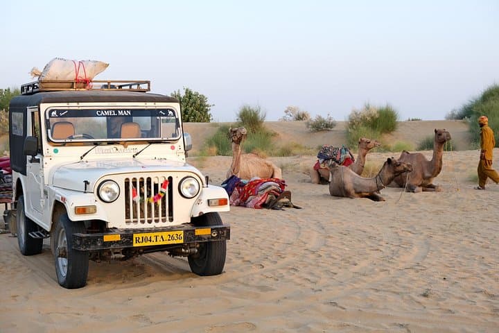 Overnight Thar Desert: Private Historical Tour, Camel Safari & Stargazing near Jaisalmer photo 4
