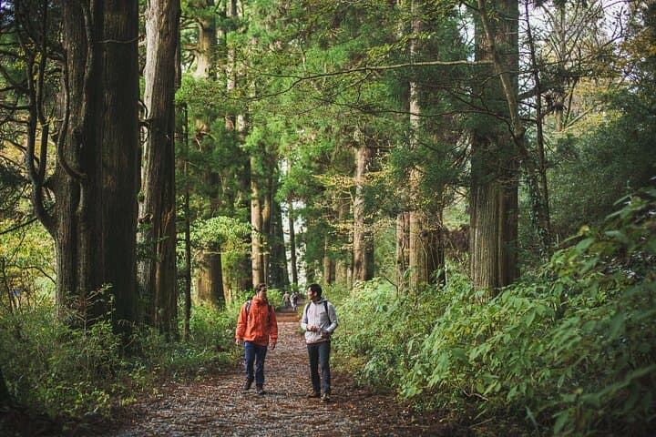 Custom Private Hakone Sightseeing Tour with Certified Local Guide photo 4