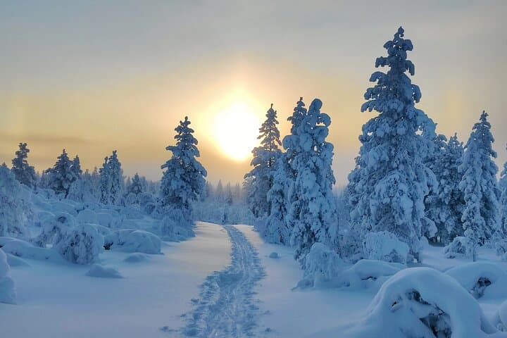 Inari Winter Trek: Snowshoe & Forest Ski Day Hike in Lapland photo 3