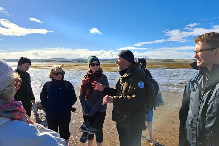 Crossing the Sands: Pilgrims' Path Walk to Holy Island (Lindisfarne)