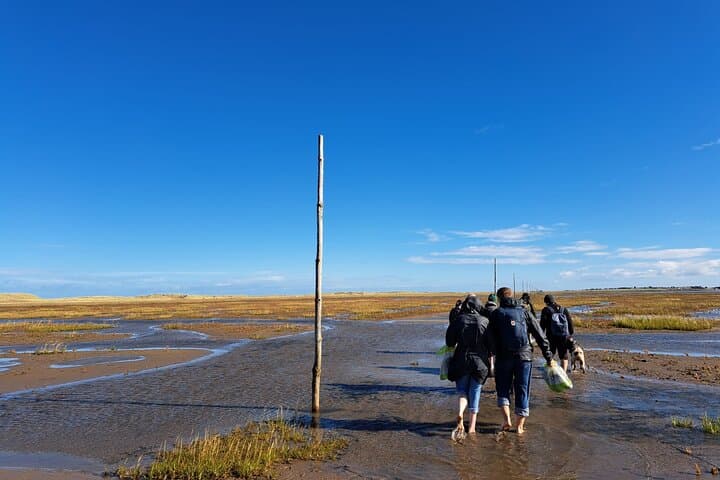 Crossing the Sands: Pilgrims' Path Walk to Holy Island (Lindisfarne) photo 4