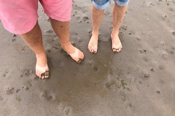 Crossing the Sands: Pilgrims' Path Walk to Holy Island (Lindisfarne) photo 5