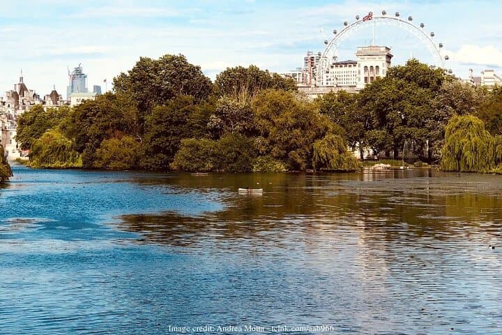 Classic Westminster Walking Tour — 2-Hour Private Historic Highlights photo 6