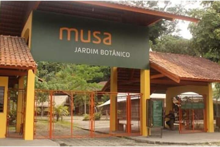 Exploring MUSA: Manaus's Amazon Museum and Forest Trails