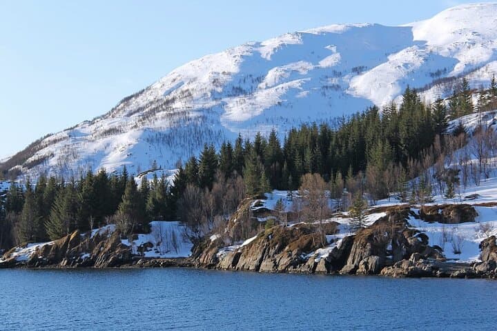 Tromsø Evening Catamaran: Northern Lights & Arctic Wilderness Cruise photo 2