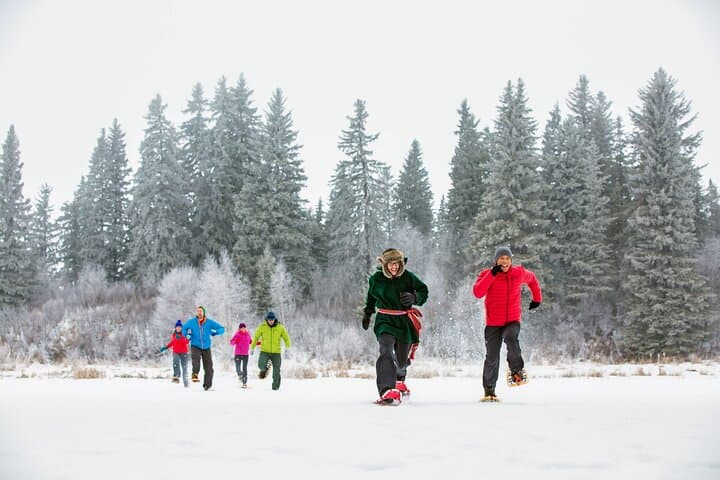 3-Day Winter Banff & Lake Louise: Fairmont Stays, Peyto & Peyto Lookout photo 3