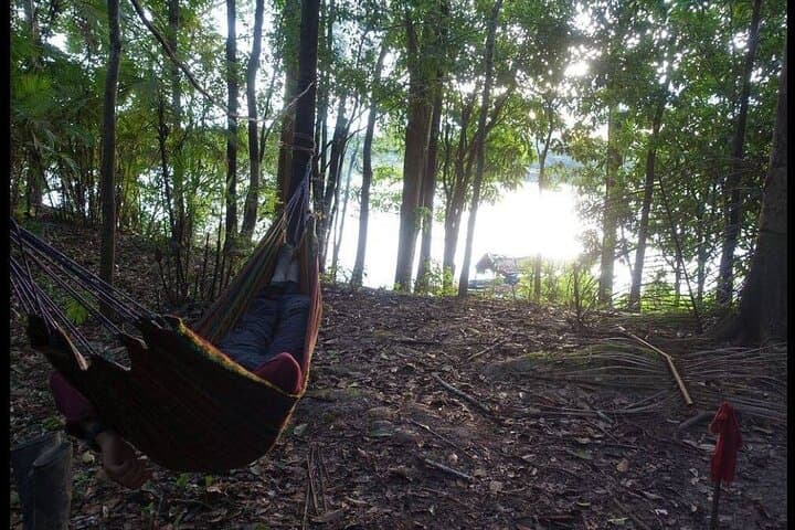 Amazon Extreme Adventure: 4-Day Iquitos Jungle Camp & Wildlife Expedition photo 3
