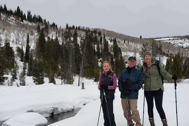Guided Uinta Forest Winter Hike: 3.5-Mile Loop with Fire & Charcuterie photo 3