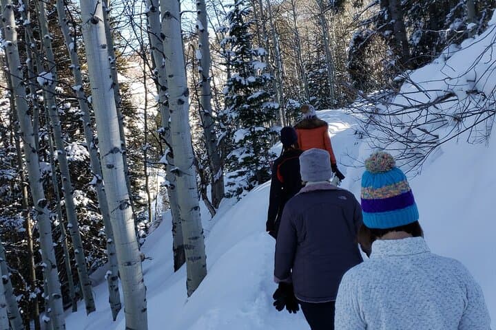 Guided Uinta Forest Winter Hike: 3.5-Mile Loop with Fire & Charcuterie photo 5