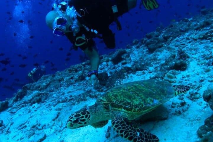 PADI Shore Scuba Lesson & Kahekili Beach Dive — Learn to Scuba in Maui photo 3