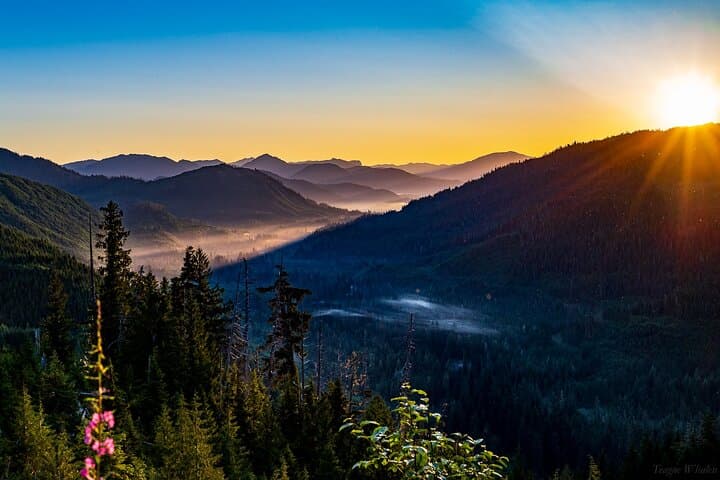 Exploring Tongass Backcountry: Ketchikan’s Off-Road Forest Adventure photo 2