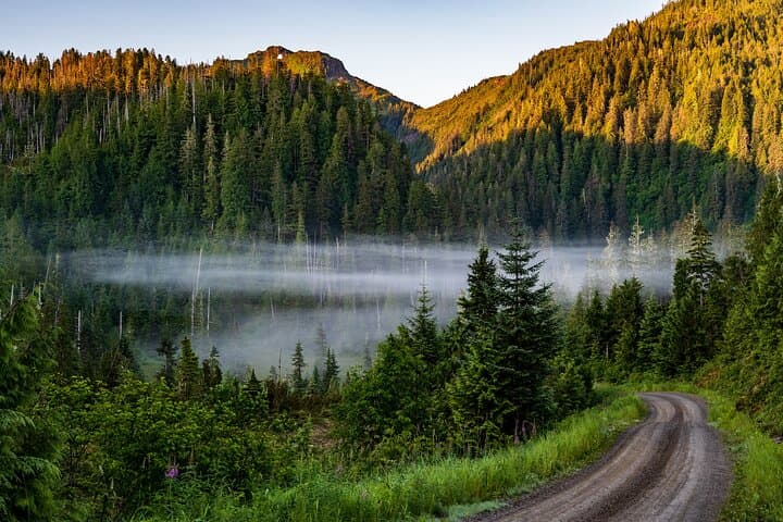 Exploring Tongass Backcountry: Ketchikan’s Off-Road Forest Adventure photo 4