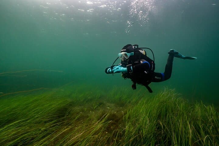 Try Scuba Diving in Galway: Explore the Coral Strand Shallows photo 2