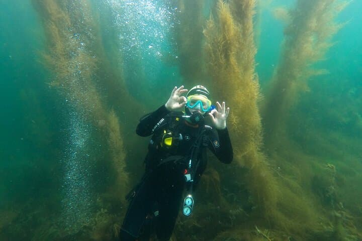 Try Scuba Diving in Galway: Explore the Coral Strand Shallows photo 6