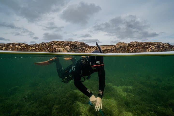 Guided Snorkel Tour at Coral Beach Carraroe — Wild Atlantic Snorkeling in Galway