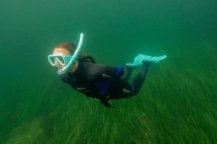 Guided Snorkel Tour at Coral Beach Carraroe — Wild Atlantic Snorkeling in Galway photo 2