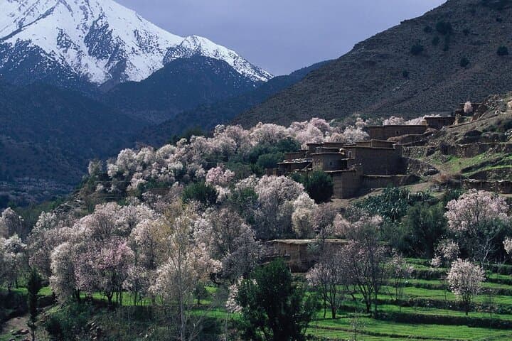 Atlas Day Hike and Berber Village Experience from Marrakech photo 3