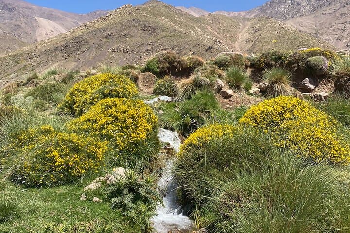 Atlas Day Hike and Berber Village Experience from Marrakech photo 5