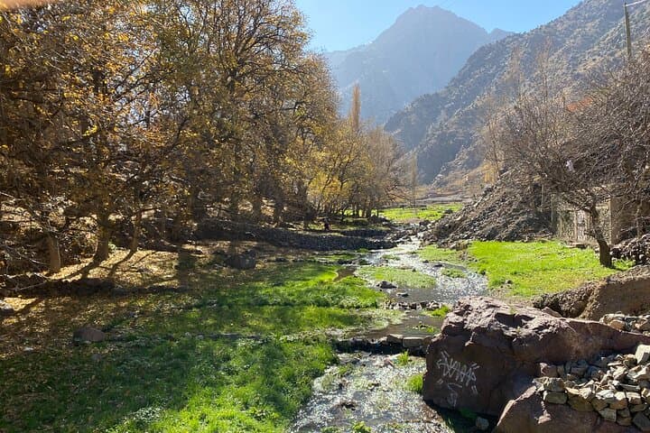Atlas Day Hike and Berber Village Experience from Marrakech photo 6