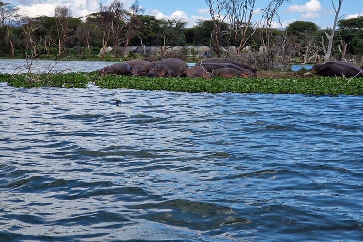Hell's Gate Day Tour & Lake Naivasha Boat Ride — Biking with Giraffes and Hippo Safaris photo 3