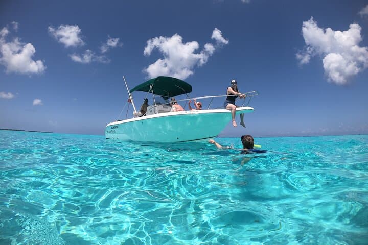 Private Cozumel Snorkel Charter: El Cielo, Turtle Sanctuary & Columbia Reef