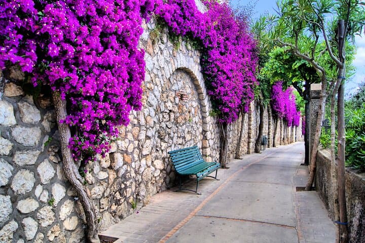 Capri Private Walking Tour: Gardens, Piazzas & Hidden Corners photo 5