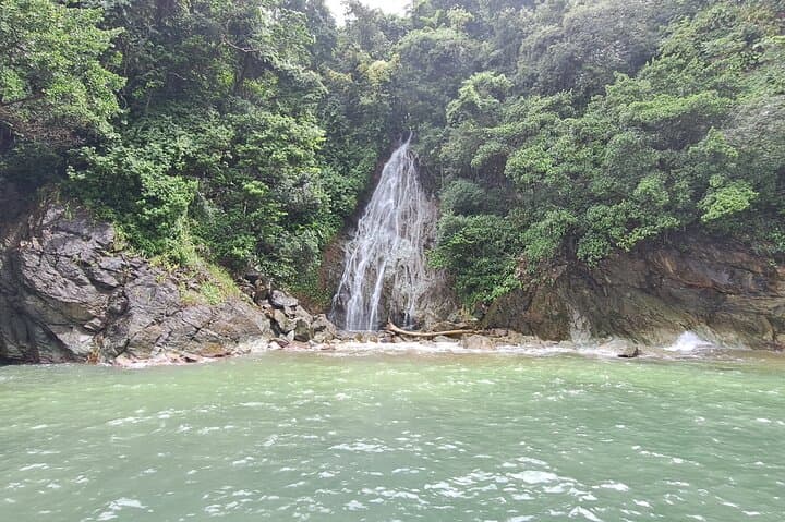 Speyside Bird Sanctuary & Little Tobago Snorkel — Caribbean Birding, Reef & Waterfall Day Trip photo 3