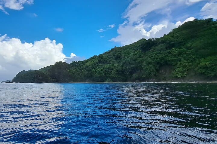 Speyside Bird Sanctuary & Little Tobago Snorkel — Caribbean Birding, Reef & Waterfall Day Trip photo 4