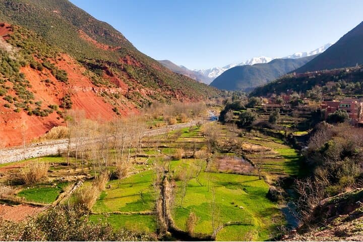 Full-Day Private Excursion to Ourika Valley from Marrakech: Waterfalls, Berber Culture & Herbal Trails photo 3