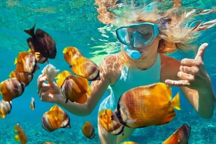 Full-Day Safari Blue Lagoon Adventure in Zanzibar: Snorkel Blue Lagoons, Sandbanks & Seafood photo 3