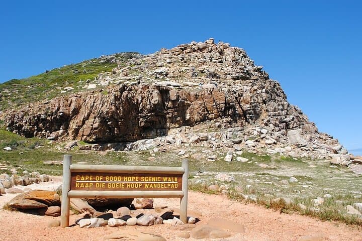 Cape Point, Table Mountain & Cape of Good Hope: Full-Day Scenic Tour from Cape Town photo 5