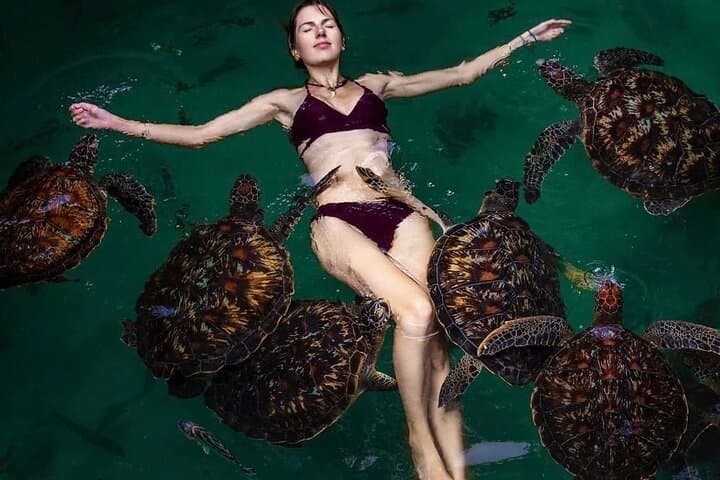 Mnemba Island Snorkel, Nungwi Village & Sea Turtle Experience photo 5