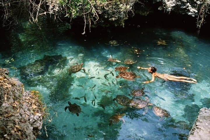 Mnemba Island Snorkel, Nungwi Village & Sea Turtle Experience photo 2