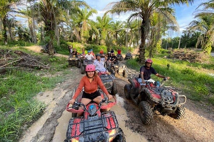 Mud, Mangos, and Limestone