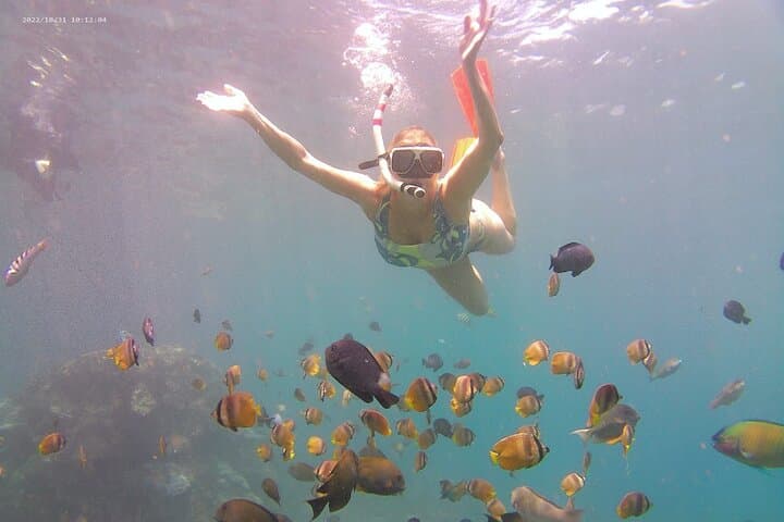 Nusa Penida Private Snorkeling & West Island Tour — Kelingking, Angel’s Billabong & Manta Bay