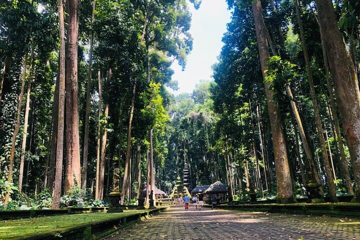 Jatiluwih & Ulun Danu Beratan: A Day Tour from Ubud to UNESCO Rice Terraces photo 3