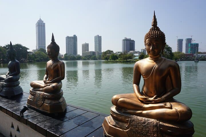 8-Day Luxury Sri Lanka Tour: Sigiriya, Nuwara Eliya Train, Yala Safari & Southern Coast photo 3