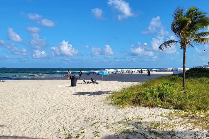 Private Transfer from Miami Airport to Miami Hotels & Port — Reliable Door-to-Door Ride photo 5