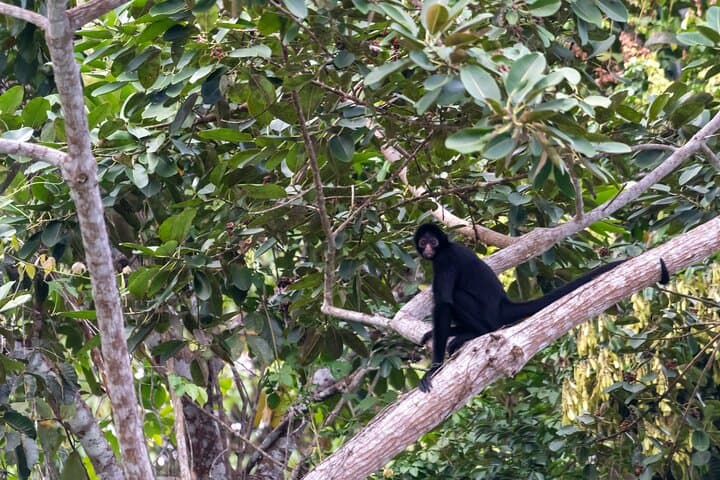 3-Day Sustainable Eco Tour to Manu National Park from Cusco photo 6