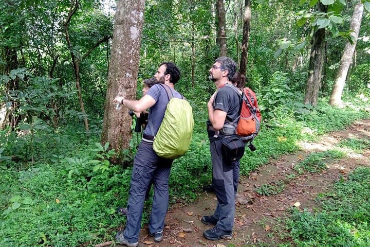 Thattekad Guided Bird Walk at Salim Ali Bird Sanctuary — Morning & Evening Tours photo 6