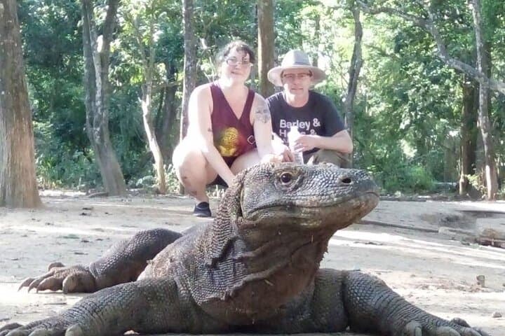 3-Day Komodo National Park Tour: Komodo & Rinca Island Dragon Trek