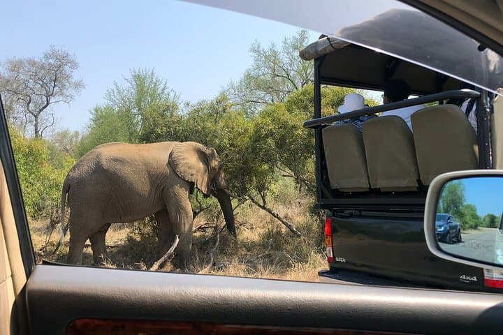 Kruger National Park Full-Day Safari from Maputo — Big Five in One Day photo 5