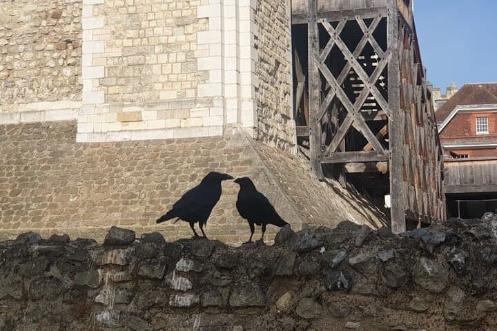 Tower of London Private Family Tour: Skip-the-Line Guide to Crown Jewels and Wall Walk photo 4