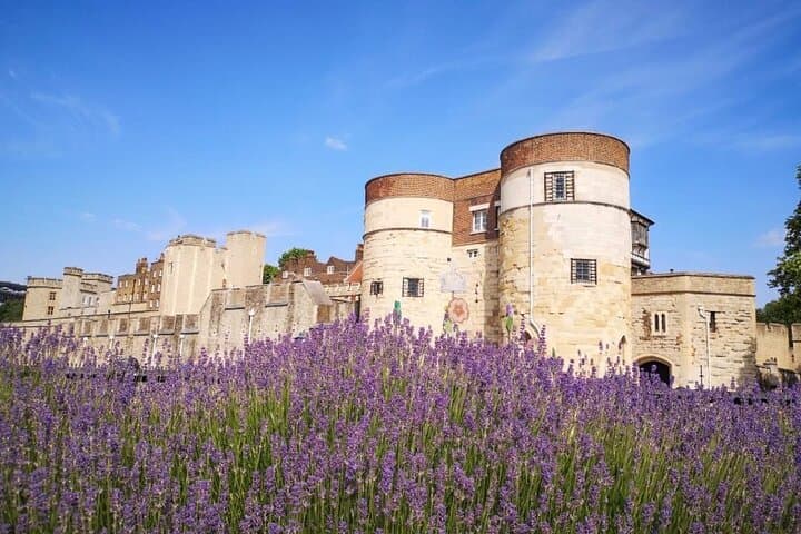 Tower of London Private Family Tour: Skip-the-Line Guide to Crown Jewels and Wall Walk photo 5