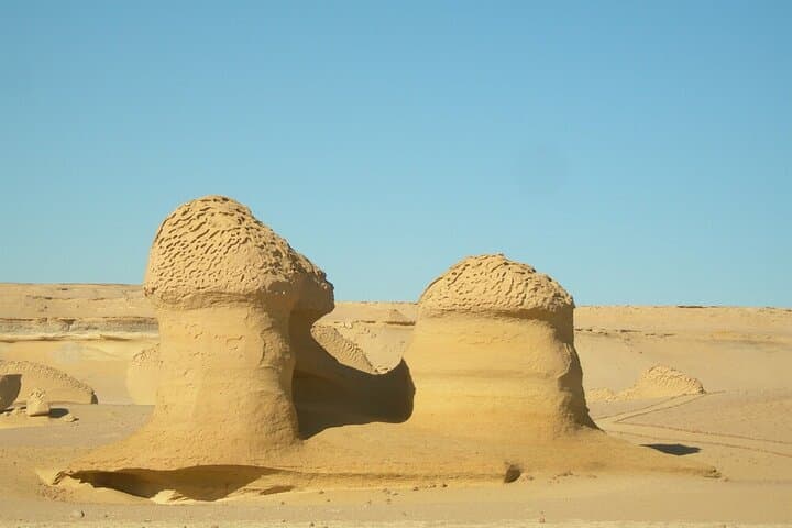 Day Safari from Cairo to Wadi El Rayan & Wadi Hitan — Valley of the Whales and Sandboarding photo 2