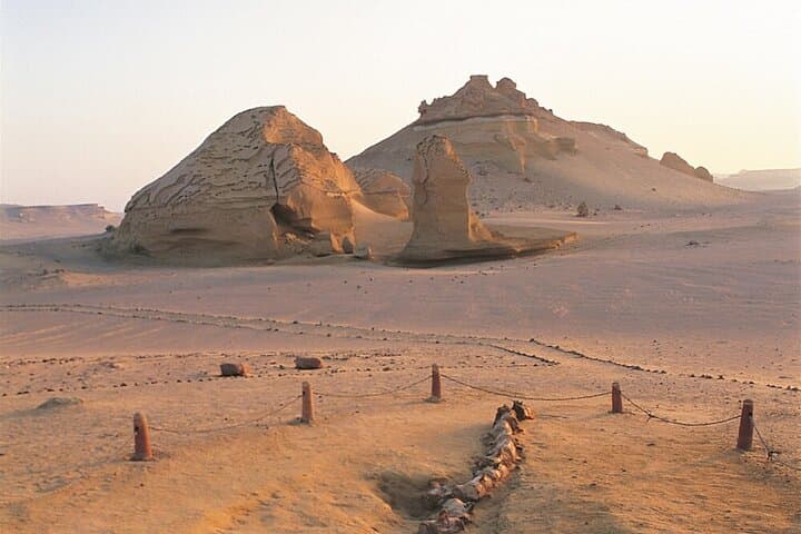 Day Safari from Cairo to Wadi El Rayan & Wadi Hitan — Valley of the Whales and Sandboarding