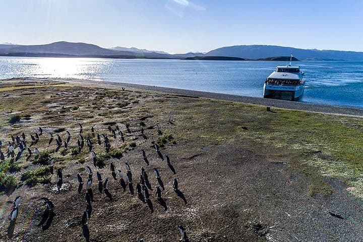 Martillo Island Penguin Cruise: Beagle Channel Boat Trip from Ushuaia photo 2