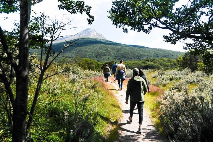 Half-Day in Tierra del Fuego: Ensenada, Lapataia & Beagle Channel Views photo 2