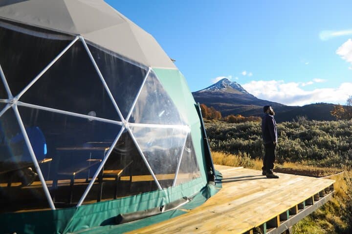 Half-Day in Tierra del Fuego: Ensenada, Lapataia & Beagle Channel Views